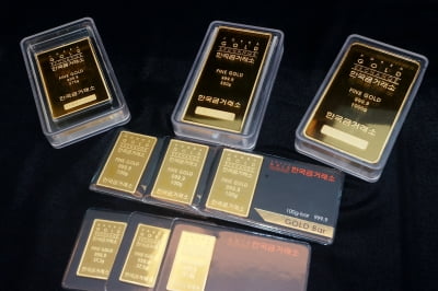35년 업력 순금 브랜드 현대골드, M&A 매물로