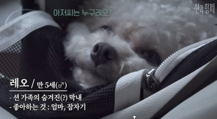 /사진=션 유튜브 채널 영상 캡처