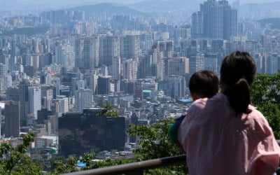 "현금 없으면 못 사요"…지난주 가장 비싸게 팔린 아파트는