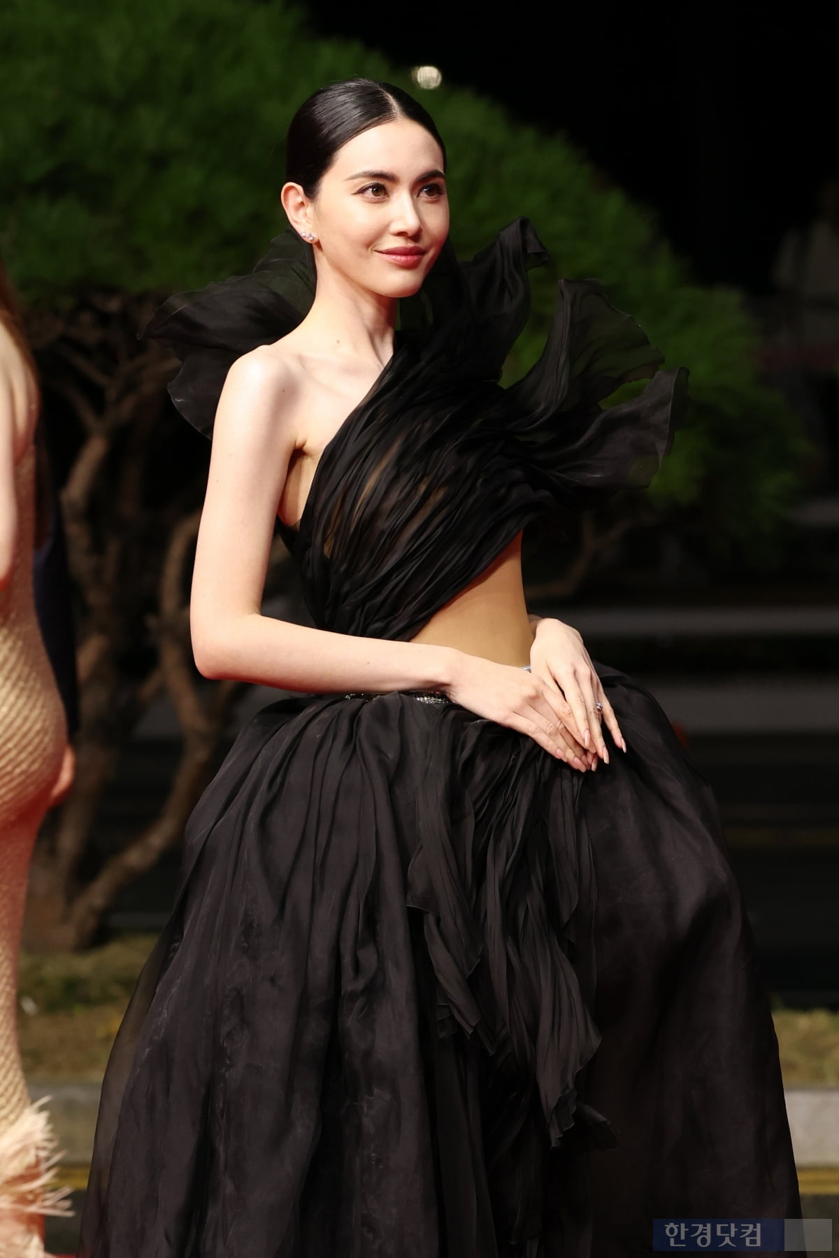 [포토] 다비카 후네, '눈 뗄 수 없는 아름다운 모습' (부산국제영화제)