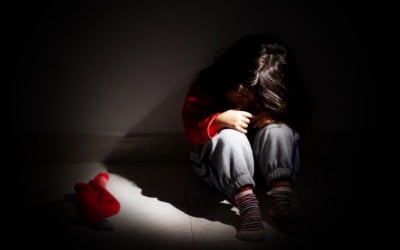 "유괴 불안에 가족 총출동"…사회 곳곳 덮친 '카피캣 범죄' [이슈+]