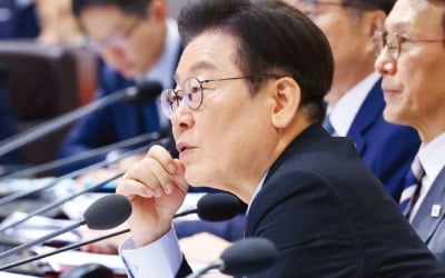 '성장전략 국무회의'서 상법·노조법 의결한 李 "국민경제 위한 법"