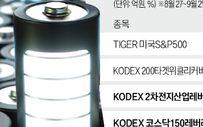 "이번엔 돈 벌 줄 알았는데"…'2차전지' 베팅했다가 '비명'