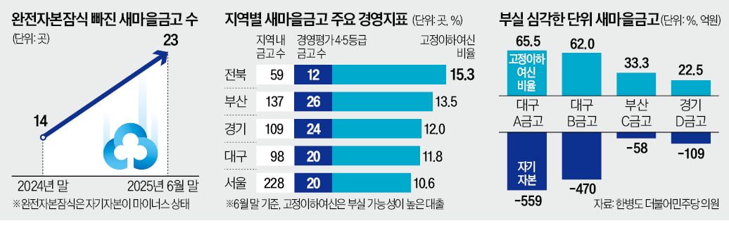 부산·대구권 금고 부실