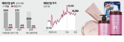 '현금 부자' 태광, 애경산업 품고 K뷰티로 사업 확대