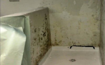 곰팡이 핀 벽, 고장난 변기…열악한 구금센터