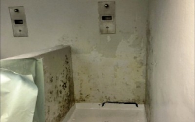 장갑차·헬기에 쇠사슬까지 동원…체포 현장, 흡사 전쟁터 같았다