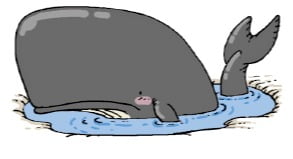 [천자칼럼] 연못 속 고래, 국민연금