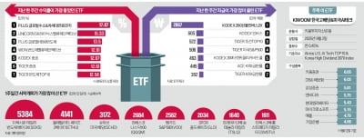 AI 반도체 질주…인버스 상품에도 뭉칫돈 몰려