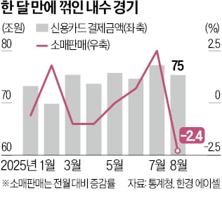소비쿠폰發 '반짝 호황'…온기 벌써 식었다