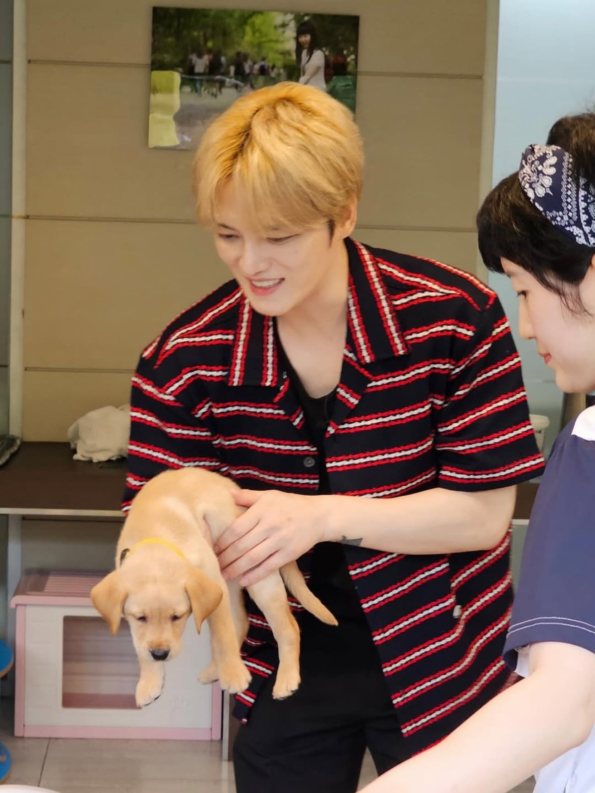 Kim Jaejoong Shares Heartwarming Moments with His Dogs on Instagram
