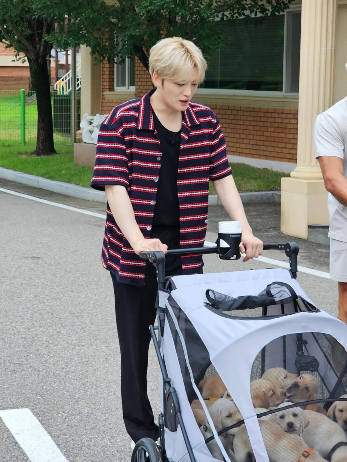 Kim Jaejoong Shares Heartwarming Moments with His Dogs on Instagram