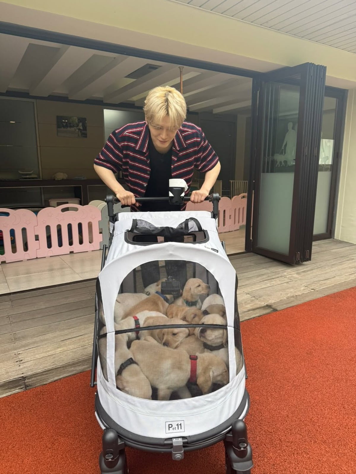 Kim Jaejoong Shares Heartwarming Moments with His Dogs on Instagram