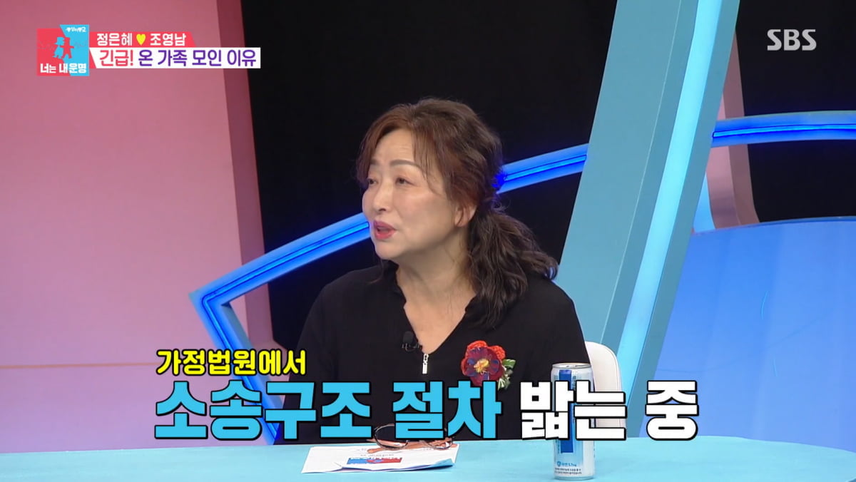 Eun-hye Jeong to Change Her Name to Eun-hye Seo: A Journey of Family and Identity