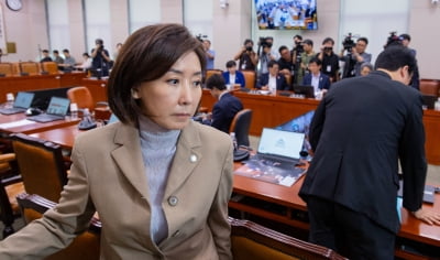 [속보] 법사위, '나경원 간사 선임' 안건 與주도 부결