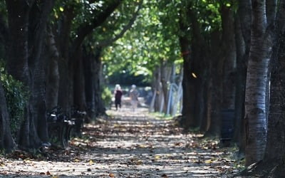 낮 최고 30도 늦더위…남부·제주 등 전국 곳곳 비