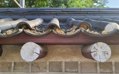 '세계유산' 종묘 담장에 날벼락…기와 훼손한 용의자 추적