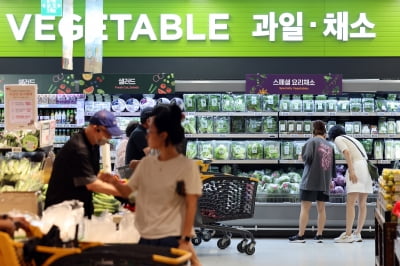 고물가에 '짠물소비'…가구 먹거리 지출 9년 만에 가장 적어