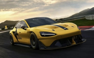 "그 車 무서워서 못 타겠다" 패닉…주가 폭락한 회사 [조아라의 차이나스톡]