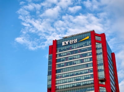 재무자문 파트너 25% 감축… 혹독한 구조조정 나선 EY한영