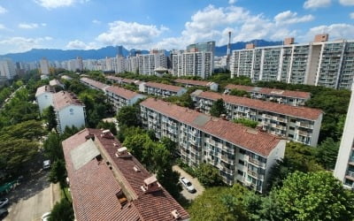 "국평 5억 동네에 강남급 규제라니"…노도강 집주인들 '분노' [돈앤톡]