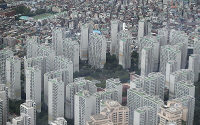 "전세 놓을 수 있다"…현금 부자들 28억 들고 몰려간 곳