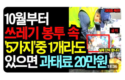 "볼펜 버려 80만원 냈다"…분리수거 과태료 '가짜뉴스' 확산