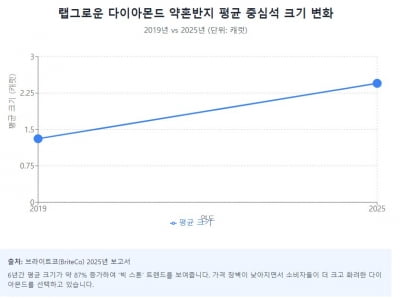 무너지는 130년 다이아몬드 왕국…실험실 제조 보석의 공습 [글로벌 머니 X파일]