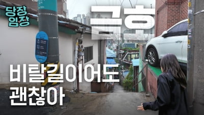'서울 전역 토허제' 초강력 대책이 나오게 한 동네 | 당장! 임장