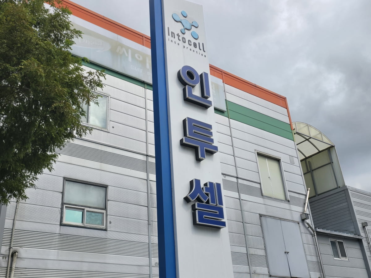 사진=인투셀