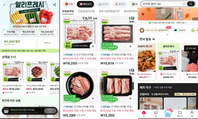 알리익스프레스, 온라인 마트 채널 '알리프레시' 시범 출시