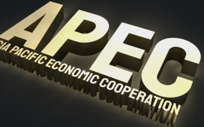 "APEC을 투자유치·수출확대 기회로"…산업부, APEC 경제인 행사 개최