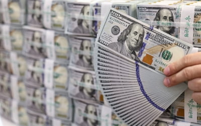 '한미협상' 타결에 안도…달러-원 환율 일단 1420원대로 하락