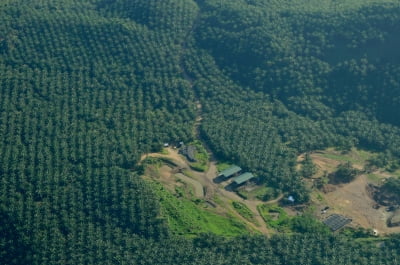 일본생명 등 금융기관, 자연 금융 적격성 평가 방법 공개