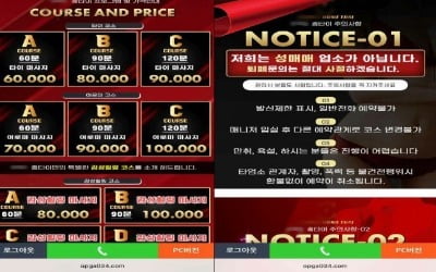 "돈 없으면 몸으로 갚아라"…외국인 여성 노린 성매매 일당 검거