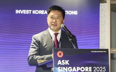 루미나스파이낸셜 "한국은 싱가포르의 투자 다원화 기회될 것"[ASK 싱가포르 2025]