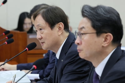 이찬진 "금감원 특사경에 인지조사권·강제수사권 없어 한계"