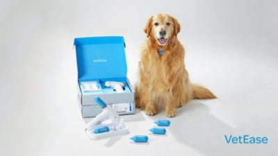 벳이즈, 'FASAVA 2025'서 유럽 수의피부과 전문가 강연…정밀 냉각기술 선봬