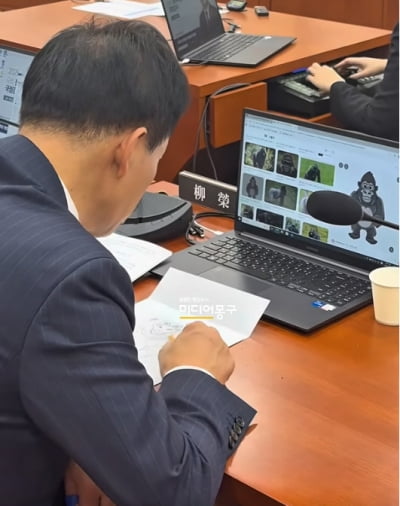 국회 회의 중 '고릴라 그림' 삼매경…반복되는 '딴짓' [이슈+]