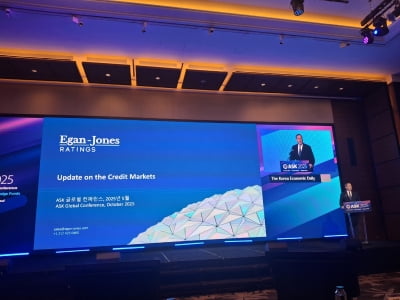 이건존스 "은행의 후퇴…사모대출 시장은 골디락스"[ASK 2025]