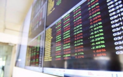 '코스피 불장' 승자는 60대 여성…20대 남성 수익률 '꼴찌'