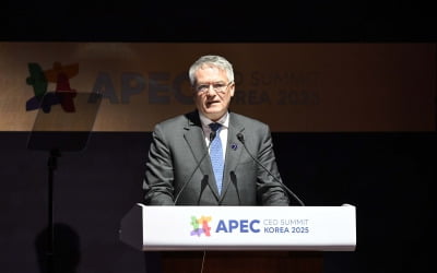 OECD "AI, 연 0.4%p 성장 기여…공급망 붕괴 땐 GDP 5%↓" [APEC 2025]