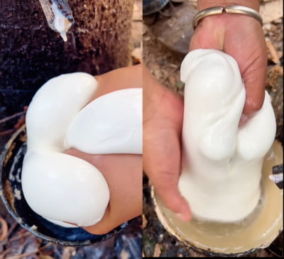 "이게 대체 왜 인기?" … 한국인들 사이 난리난 영상 [트렌드+]