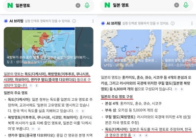 네이버서 '일본영토' 검색했더니…AI 답변에 '독도' 포함