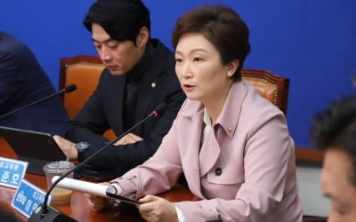 與 이언주 "대미 투자금, 기업 美 진출 돕는 보조금처럼 써야"