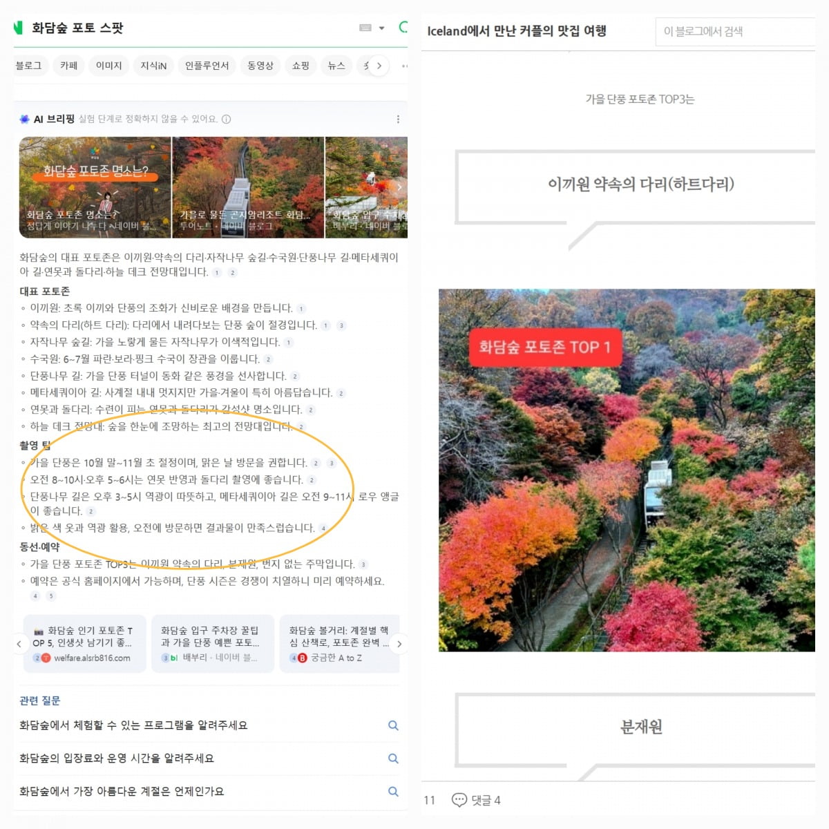 사진='화담숲 포토 스팟'에 대한 네이버 'AI 브리핑' 답변 갈무리