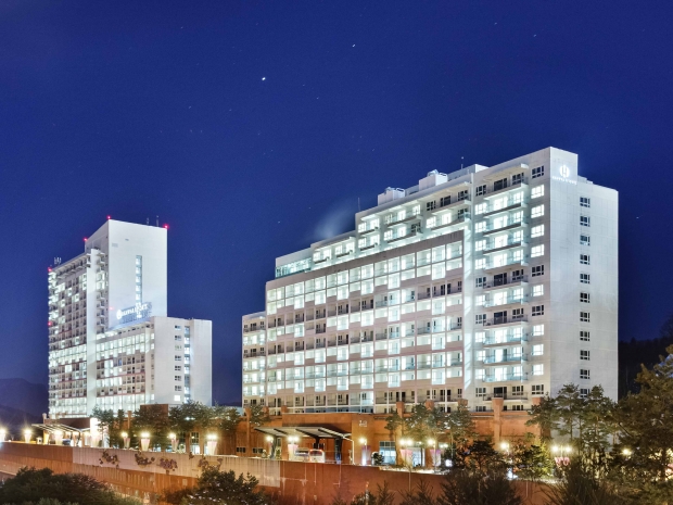 평창으로 미식여행 어때요?