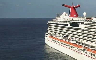 나홀로 섬에 남겨진 크루즈 여행객, 이튿날 숨진 채로 발견