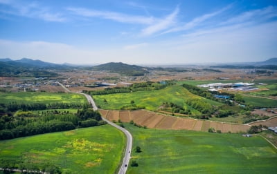 평당 2만원짜리를 93만원에…방송 나온 '부동산 전문가' 알고보니