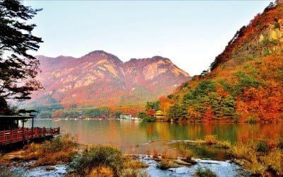 단풍명소 검색했더니…'인생샷' 찍는 시간·각도 알려준다